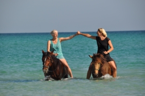 0cb02a1e-861a-4740-b039-2b3440542117