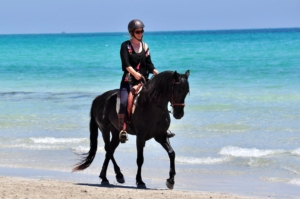 barok paard strand