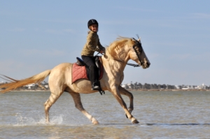 paardrijden strand