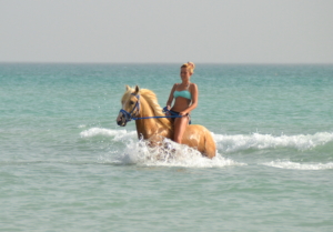 Paardrijden aan Zee