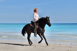 e9706dff-203e-4561-ab93-f5ffa5c8ee17